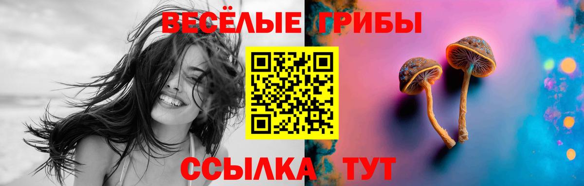 Галлюциногенные грибы мицелий  Вход с VPN  Санкт-Петербург 